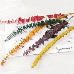 Decorative Flowers 10Pcs Natural Dried Flower Eucalyptus Leaves Wedding Decoration Table Room Colourful Branches Stems Boho Home Decor