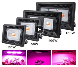 LED COB FULL SPECTRUM LED GROW LIGHT PLANT LIGHT 150W 100W 50W 30W COB GRUNGFLÖDLJUS FÖR Växtblomma Vegetabiliska Phyto Lamp4725915