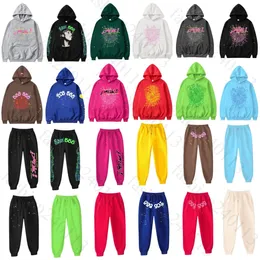 Tasarımcı Hoodie Erkek Örümcek Hoodies Pantolon Giysileri Kadın Hoodie O Boyun Normal Geometrik Mektup Baskı Örümcek Web Grafik Pembe Sweatshirts Gevşek Açık Rekreasyon