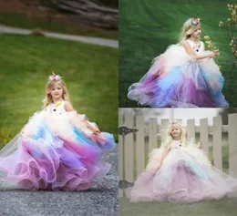 Rainbow Flower Girl Dresses para apliques de renda de casamento de aniversário Saias em camadas Primeira Comunhão Tulle Luxury Girls Pagean9335379