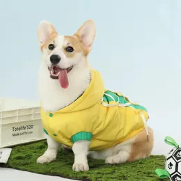 Собачья одежда Желтая Корки Одежда зимние домашние животные весна осень чай паттер