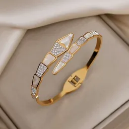 Aynı stil kabuk yılan kemiği moda, kadın mizaç için titanyum çelik bilezik açılış ile serin stil kişiselleştirilmiş mücevherler