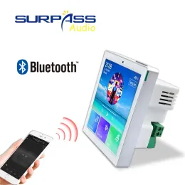 Radio Smart Home Audio System Music Player 2 Kanal 4 Zoll Mini -Touchscreen Wireless Bluetooth im Wandverstärker mit FM Radio USB