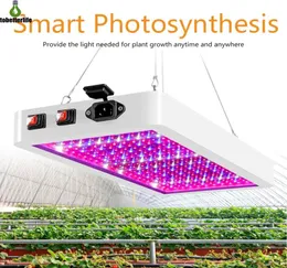 LED Grow Light 1000W 2000W Phytolamp 2835 LED'ler Chip Fito Büyüme Lambası 85265V Kapalı bitki için tam spektrum bitki aydınlatması1247476