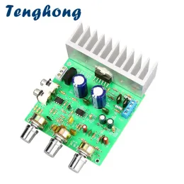 Verstärker Tenghong TDA7265 Stereo -Sound -Power -Audioverstärker Board 40W*2 2.0 Kanal Dual AC1215V Lautsprecher HiFi Amplificador