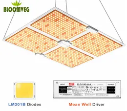 2021 Top Dimmer LED GROW Light 1000 2000 4000 Samsung 301B Lamp föredras för inomhusväxtodling2191939