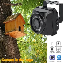 Kameror Small Outdoor Mini IR IP Poe Cameras Night Vision IPC Wide Vinle Audio Video Security Camera Surveillance P2P Onvif Bird Cage