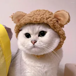 Hundkläder Cat Cap Bear Plush Head Cover Winter Pet Headgear Wear Costume Warm Accessoires Jul dekoration