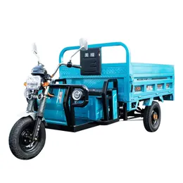 컨설팅 가격 도매 운송화물 전기 세발 자전거화물 트럭 상자 전기 세발 자전거 대형 배터리 자동차