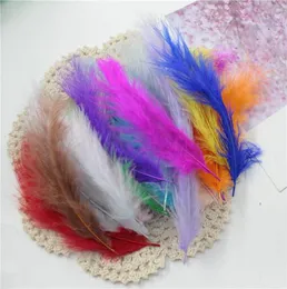 DIY färgad gåsfjäder Rainbow Feather Balloon Fill bröllopsklänning DIY Dekorativa tillbehör Feathers7212177