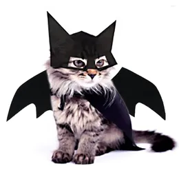 Hundkläder husdjur transformation kostym kattkläder halloween mask bat vingar korsett dekoration