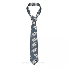 Bow Ties with Triangles Print Raccoon Casual Unisex Neck Tie Shirt Dekoration smal randig smal kravat