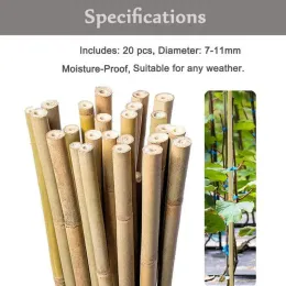 Supports 20PCS Plant Support Stake with Adhesive Pad Natural Garden Bamboo Stick Plant Stake Handmade Garden Sticks For Indoor & Outdoor