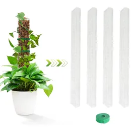 Supporta le piante di muschio di arrampicata appena piantante piante da interno Support Extension Stick per le piante Uso del giardino interno