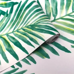 Bakgrundsbilder Självhäftande avtagbar tapetdekor Vägg som täcker grönt palmblad Lätt att rengöra för heminredning och möblerrenovering