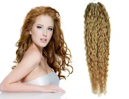 Cabelo virgem brasileiro mel loiro micro loop de extensões de cabelo humano rubio 27 100g de extensão de cabelo micro loop cachey curly1126069
