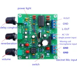 Amplificatore ETK3699 Digital Kara Ok Surround Reverb Relay Microfono Amplificatore Preamp