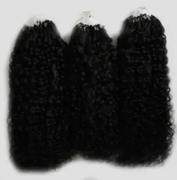 Afro Kinky Curly Hair Micro Loop Human Hair Extensions 300G 1GS 300S Naturalne mikro łącze przedłużki włosów człowieka7495743