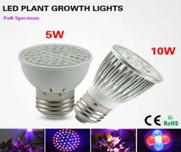 1pcs Tam Spektrum E27 5W 10W LED Grow Lights lambası AC110V 220V Bitki Çiçek Hidroponik Sistemi Büyüyen Box3794395