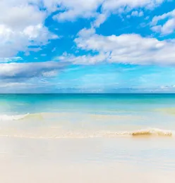 Nubbie bianche blu bianche spiaggia lo sfondo pografia sabbioso sabbioso per le vacanze panoramica pomo in studio ritratto 8714822