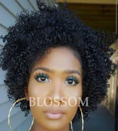 2017 New Arrival Afro Kinky Curly Brazilian Human Hair None Lace Wigs for Black Women NaturalBlack22220145