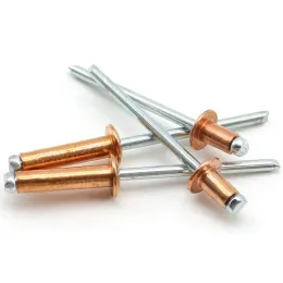 M2.4 M3.2 M4 M4.8 Copper Blind Rivets T2 Pure Head Copper Pull Nails Open Type Round Head Copper Pull Cap Nails GB12618.520