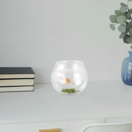 Fish Bowl