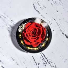 Beauty and Beast Natural Eternal Flowers Forever Preserved Rose In Glass Dome W Led Valentine Birthday Christmas Gifts for Her