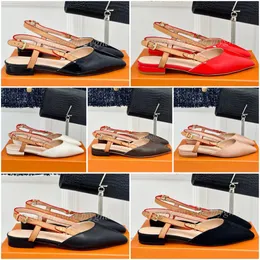 Sandali femminili di alta qualità da donna Fibbia in pelle reale Dimensione in stile di punta EUR 35-41 26619