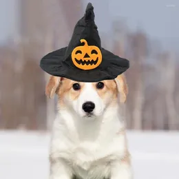 Abbigliamento per cani Halloween Pieno per cappello da pet Famio Spotchy Regolabile leggero con zucca di pipistrello per peloso