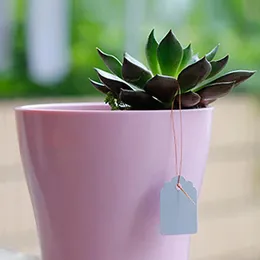 100 pezzi Tag del nome impianto impermeabile in plastica con etichette di giardinaggio a strisce segni strumenti di fiori accessori da giardino