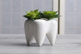 Tänder form keramisk potten saftiga planter mini vit söt trädgård blomma dekoration inomhus kontor skrivbord dekor4091061