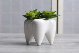 Teeth shape ceramic pot succulent planter mini white cute garden flower decoration indoor office desk decor4091061