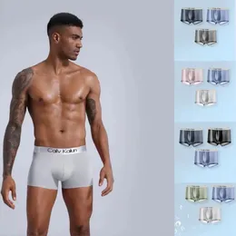Tasarımcı Seksi Erkekler Boksörleri İç çamaşırı retro şort iç çamaşırı karışımı pamuklu erkekler lüks nefes alabilen konfor tasarımcı kutusu 3 çift bir kutu