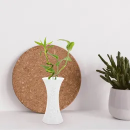 Vasen nordische Plastikpflaumenvase kleine Blütenschmuck Pflanzen getrocknete Hydrokultur Pflanzer für Blumen Künstliche Töpfe Pflanzen