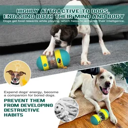 Distributeur Friandises Chien - Boule Stimulante Mange-Lent - Anti-ennui, Développement Mental - ABS - 3
