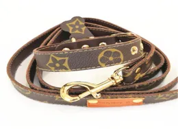 classic Dog collar Leashes British style Kshaped chest strap cats universal traction rope walking1883639