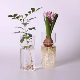 Clear Glass Hyacinth Vase Transparent Flower Plant Bottle Pot DIY Ornaments Home Living Room Garden Decoration Desk Decors 15cm 240329