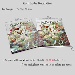 Ernst Haeckel Biology Affischer Nature Birds Prints Vintage Hummingbird Botanical Tropical Wall Art Canvas målning Bilder Decor