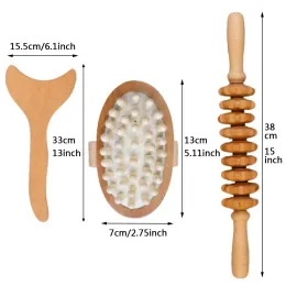 3pcs/set Massager in legno naturale Massager in legno di drenaggio linfatico Strumento di massaggio Rolletta per massaggio per il muscolo del corpo rilassamento