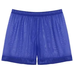 Mens Male Transparent Briefs Underwear Lingerie See-through Mesh Loose Lounge Boxers Shorts Casual Majtki Meskie Przeswitujace