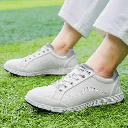 2024 Neue Golfschuhe für Männer braun blau Leder Sport Schuhe Herren Plus Größe 48 Golf Training Mann hochwertiger Walkingschuh Männlich
