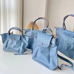 Модные роскоши дизайнеры лонгхаммп сумки для средних женских кошельки мини -кросс -купюр шоппинга сумочка похет