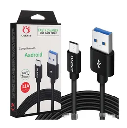 Cavi 2m 3m 3.1A Caricatore veloce micro USB Cavo di tipo C per Samsung Huawei con vendita al dettaglio