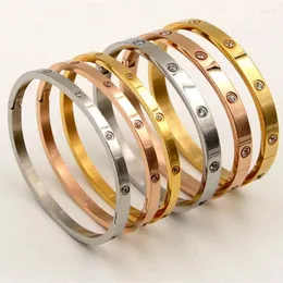 Bangle Women Women Titanium Steel Casal CZ FULHO CRISTAL BRANCO BURCELETS BURCELETS MEN B001