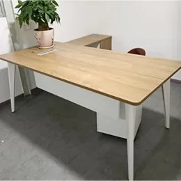 Shelf Writing Desk Modern Pullout Organizer Standing Office Desks Vanity Counter Gadgets Scrivanie Per Ufficio Furniture