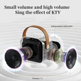 K12 Hoparlör Üst düzey Bluetooth Ses Küçük Ev KTV Karaoke Mikrofon Profesyonel Çocuk Şarkı Söyleyen Bluetooth Hoparlör Sütunu