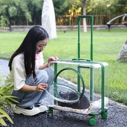 Transportadores de gatos Caixa de estimação de grande capacidade Bolsa de saída portátil com rodas rolantes Janela circular com zíper