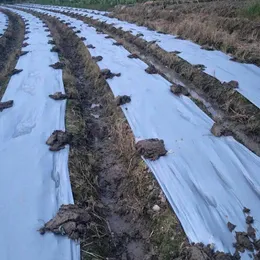 5m ~ 40m 0.02mm bahçe gümüşi siyah yansıtıcı film bahçesi meyve tee dikim sera ot kontrolü plastik malç film