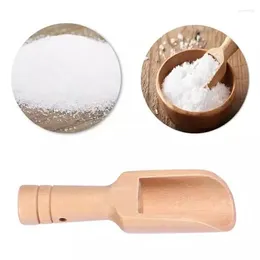 Spoons Seasoning Scoops 1/2/3pcs Bath Wooden Coffee Spices Salt Spoon Mini Scoop Candy Accessories Powder Milk Tea